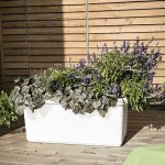 Berberis Duo Self Watering Trough - 80cm - Image 5