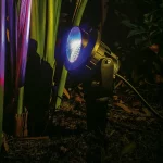 RGB Colour Spotlight for outdoor garden lighting with customizable settings