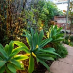 Wi-Fi Garden Light Controller with adjustable settings