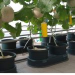 AutoPot® Hydropak 8 Kit with 8 pots, 100L reservoir, and Smart Valve for hydroponic and soil-based growing setups