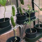 AutoPot® Hydropak 8 Kit with 8 pots, 100L reservoir, and Smart Valve for hydroponic and soil-based growing setups