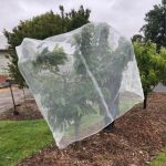 Fruit Fly Netting & Insect Mesh – Square 2.4m x 2.4m x 2.8m - White Fitted