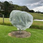 Fruit Fly Netting & Insect Exclusion Net - 2.89M Wide
