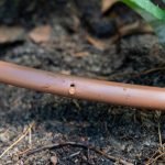 Holman Low Pressure Tap Timer