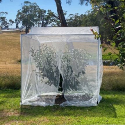 Tree Frame – Heavy Duty – 2.4 x 2.4 x 2.6m with Net 2