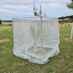 Tree Frame - Heavy Duty - 1.2 x 1.2 x 1.2m - Image 5