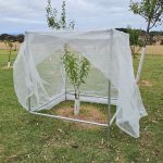 Tree Frame - Heavy Duty - 1.2 x 1.2 x 1.2m - Image 3