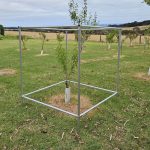 Tree Frame - Heavy Duty - 1.2 x 1.2 x 1.2m