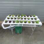 Vegie Bench Hybrid NFT Hydroponic Kit 27 Growing Locations | 1.5M x 3 Channel