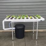 Vegie Bench Hybrid NFT Hydroponic Kit 27 Growing Locations | 1.5M x 3 Channel - Image 3