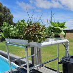Vegie Bench Hybrid NFT Hydroponic Kit 27 Growing Locations | 1.5M x 3 Channel - Image 7