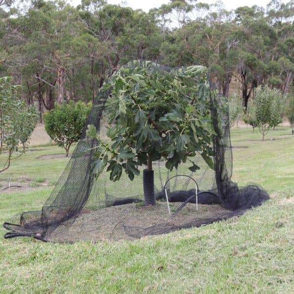 Bird Netting Black Installed
