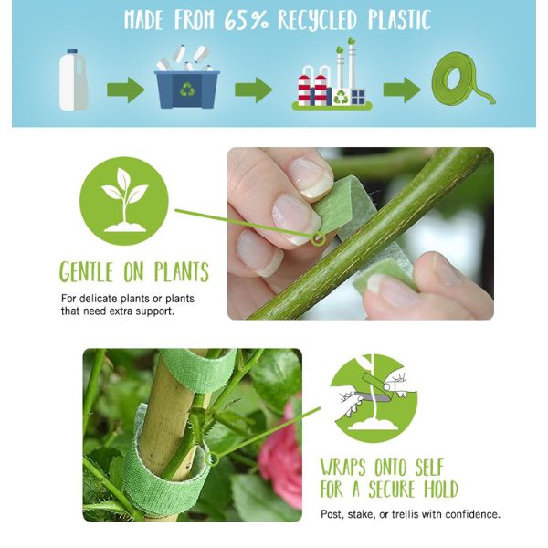 benefits of lemongrass plants Lemongrass Essential Oil  100% Pure & Natural