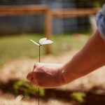 Cabbage Moth Decoys (Pack of 6) (2)