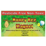 Honey Bee Magnet
