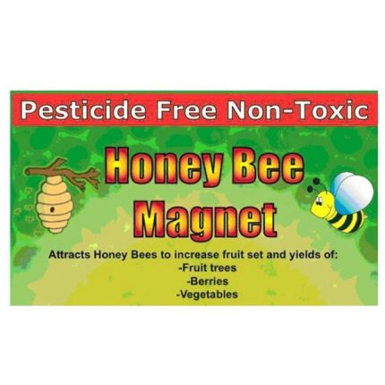 Honey Bee Magnet