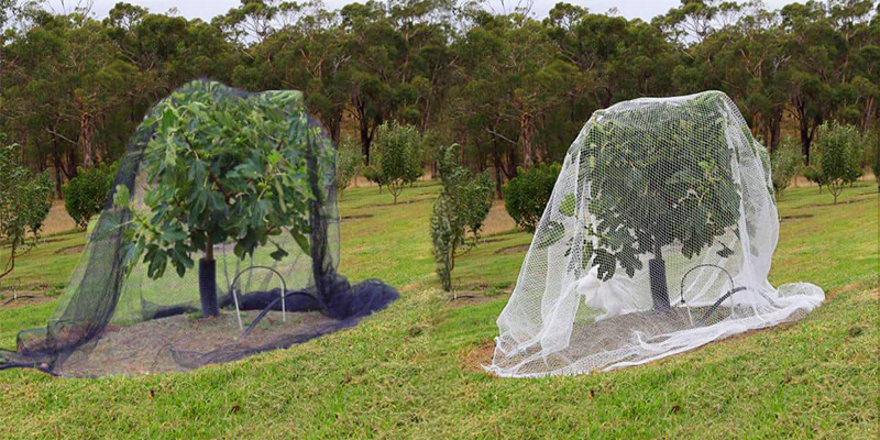 anti-bird-netting-black-and-white-installed-2
