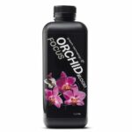 Growth Technology Orchid Bloom Focus 1L