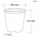 gcp squat pot 165mm