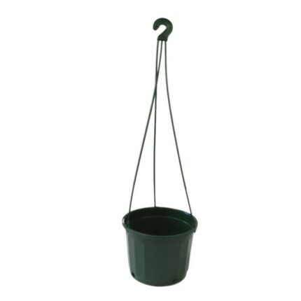 hanging pot jade with hanger