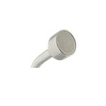 Orbit shower wand 1