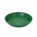 jade saucer