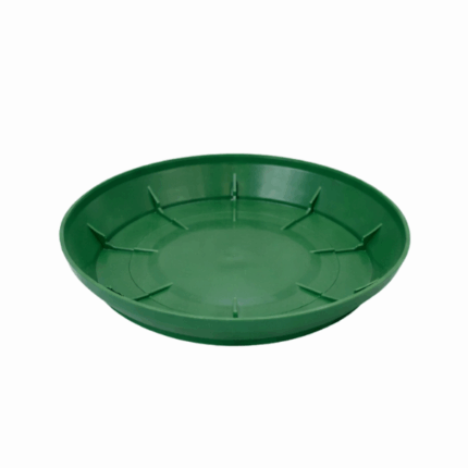 jade saucer