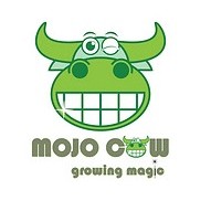 mojo cow logo