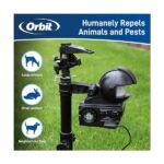 orbit yard enforcer motion activated sprinkler 1