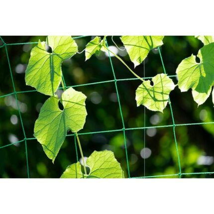 veg support net 1