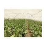 veg support net 5
