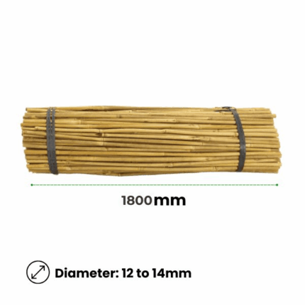 Bamboo Stakes 1800mm 12-14mm