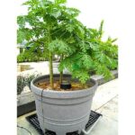 Autopot Smart Dripper Module - Image 3