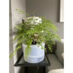 Autopot Midi Smart Pot - Grey | Black