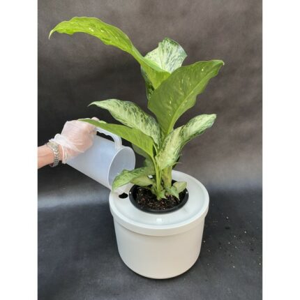 autopot midi smart pot 4