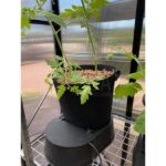 autopot single fabric module 1