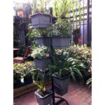 autopot square hanging basket 3