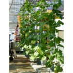 autopot square hanging basket 4