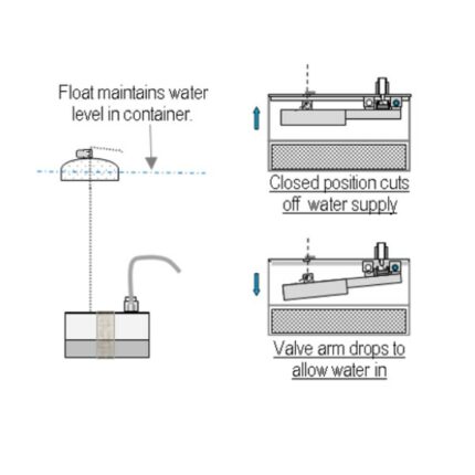 single float 1