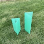 split bamboo stakes with 2 tree guard