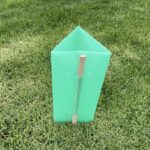 split bamboo stakes with tree guard