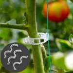 tomato clips 3