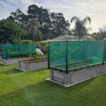 veg net frame 6