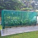 veg net frame 7