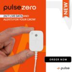 Pulse Zero 2