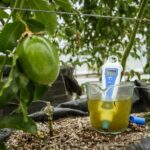 bluelab ph penplus 2