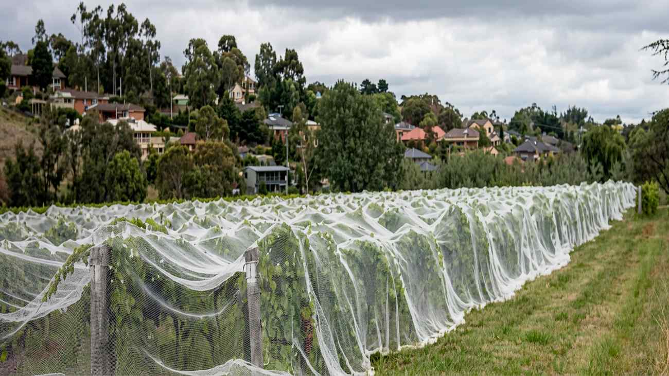 heavy duty bird netting