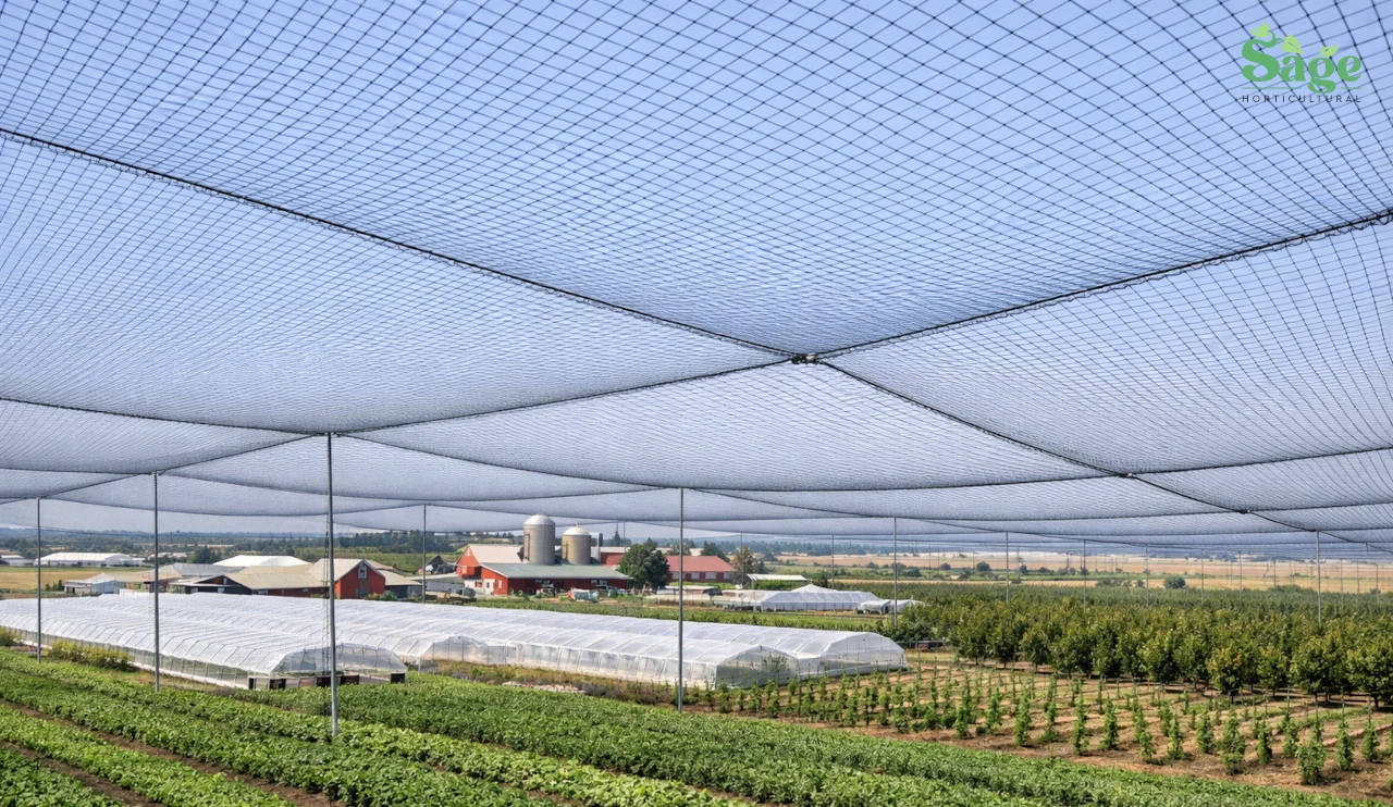 Heavy Duty Bird Netting